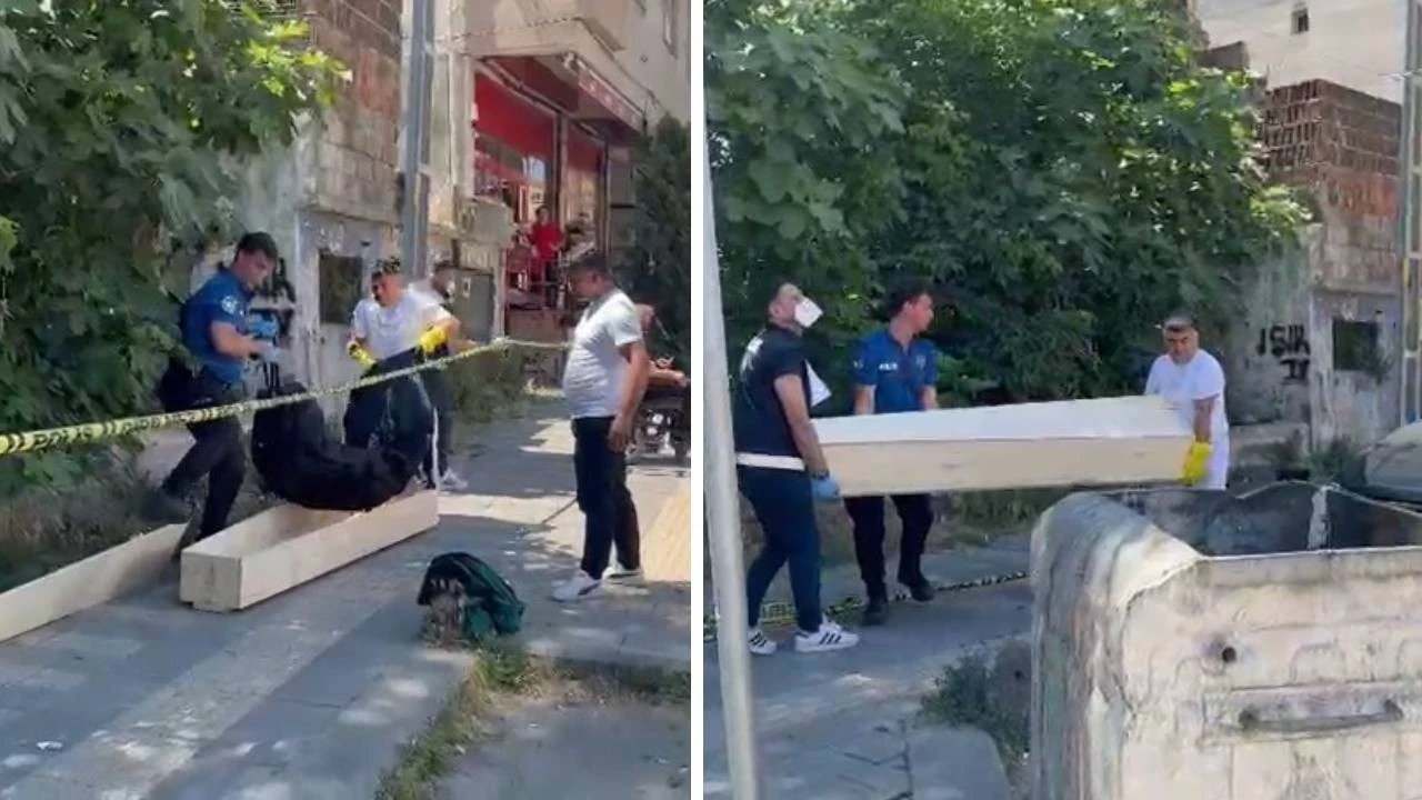 Kedisini ararken hayatının şokunu yaşadı! Gördüğü şey karşısında neye uğradığına şaşırdı