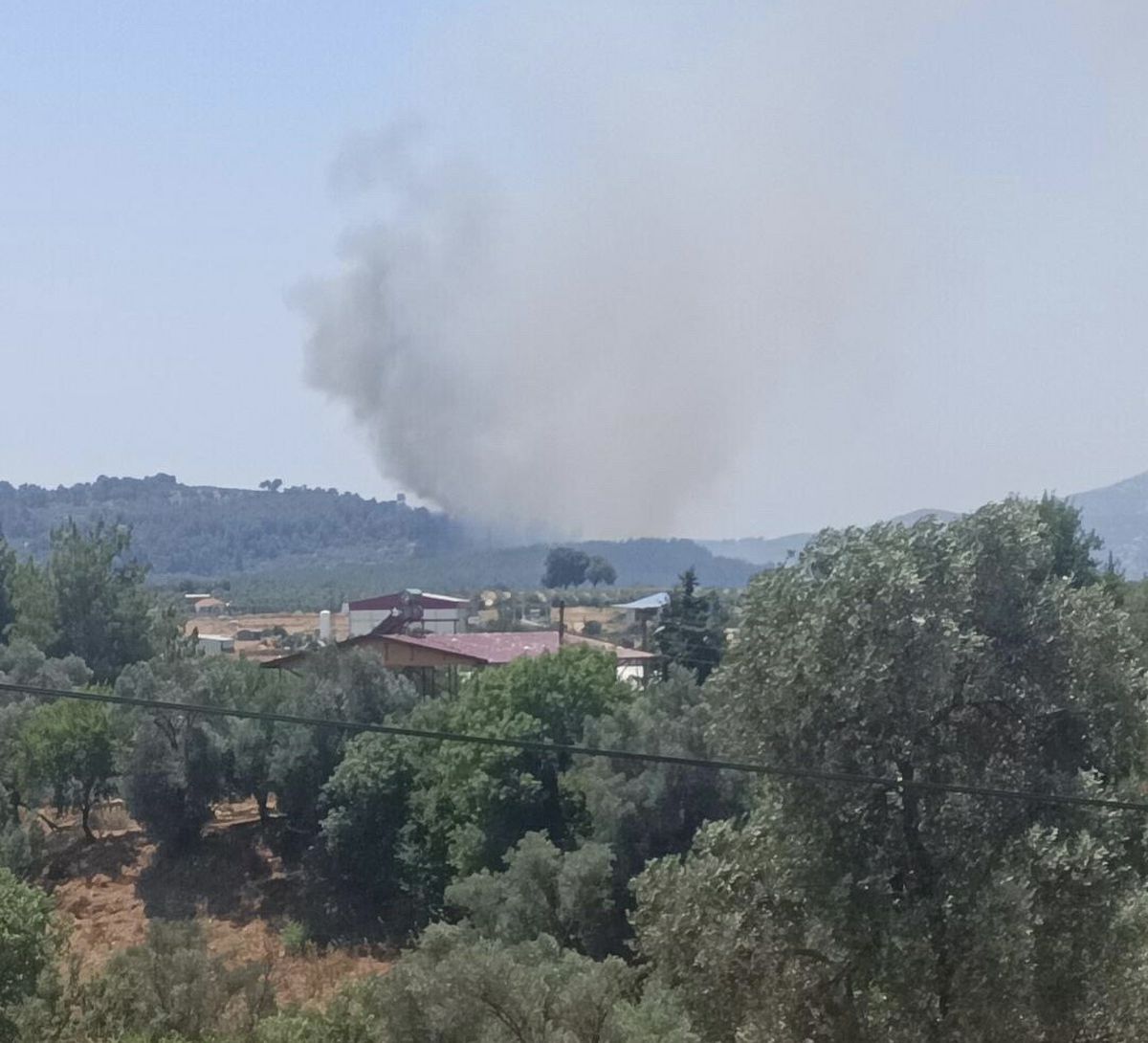 Muğla'da tarım arazisinde çıkan yangın ormana sıçradı