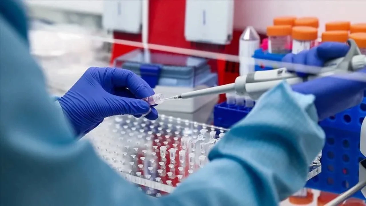 12 yıllık faili meçhul cinayet DNA eşleşmesiyle çözüldü