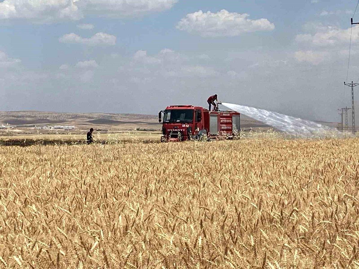 Mardin'de yaklaşık 300 dönüm ekili alan alevlere teslim oldu