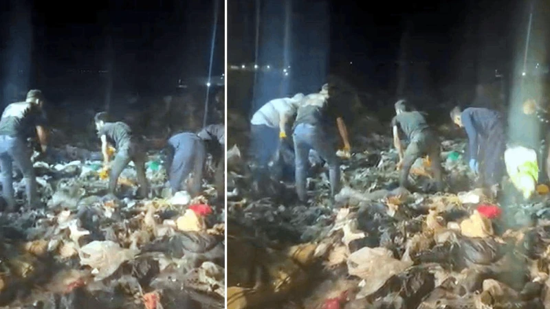 İnsanlık çöpe atıldı: Tekirdağ’ın Çorlu ilçesinde çöplükte bir aylık erkek bebek cesedi bulundu