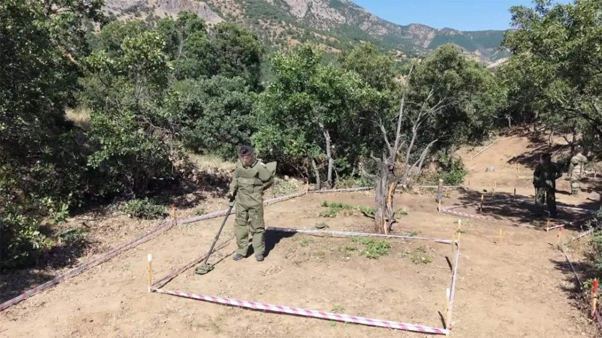 Mayınlar temizlendi, sıra kalkınmada: Tunceli'de 'Terörsüz Türkiye' bereketi