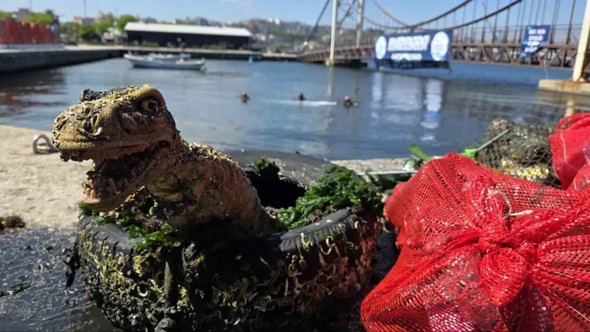Marmara denizi ‘gününde' temizlendi