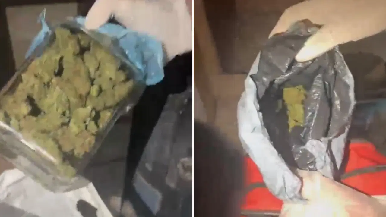 Kağıthane’de uyuşturucu operasyonunda trajikomik savunma: 'Teraziyi kuşlara yem tartmak için aldım!'