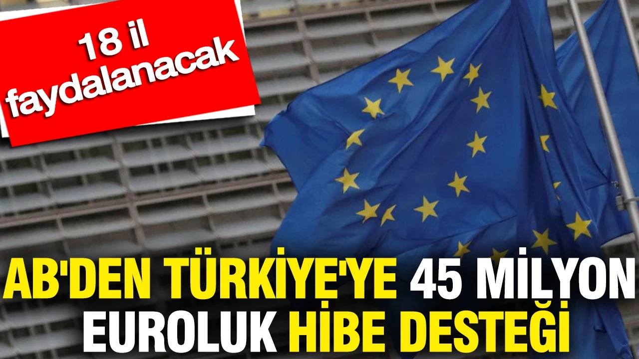 AB'den Türkiye'ye 45 milyon euroluk hibe desteği: 18 il faydalanacak