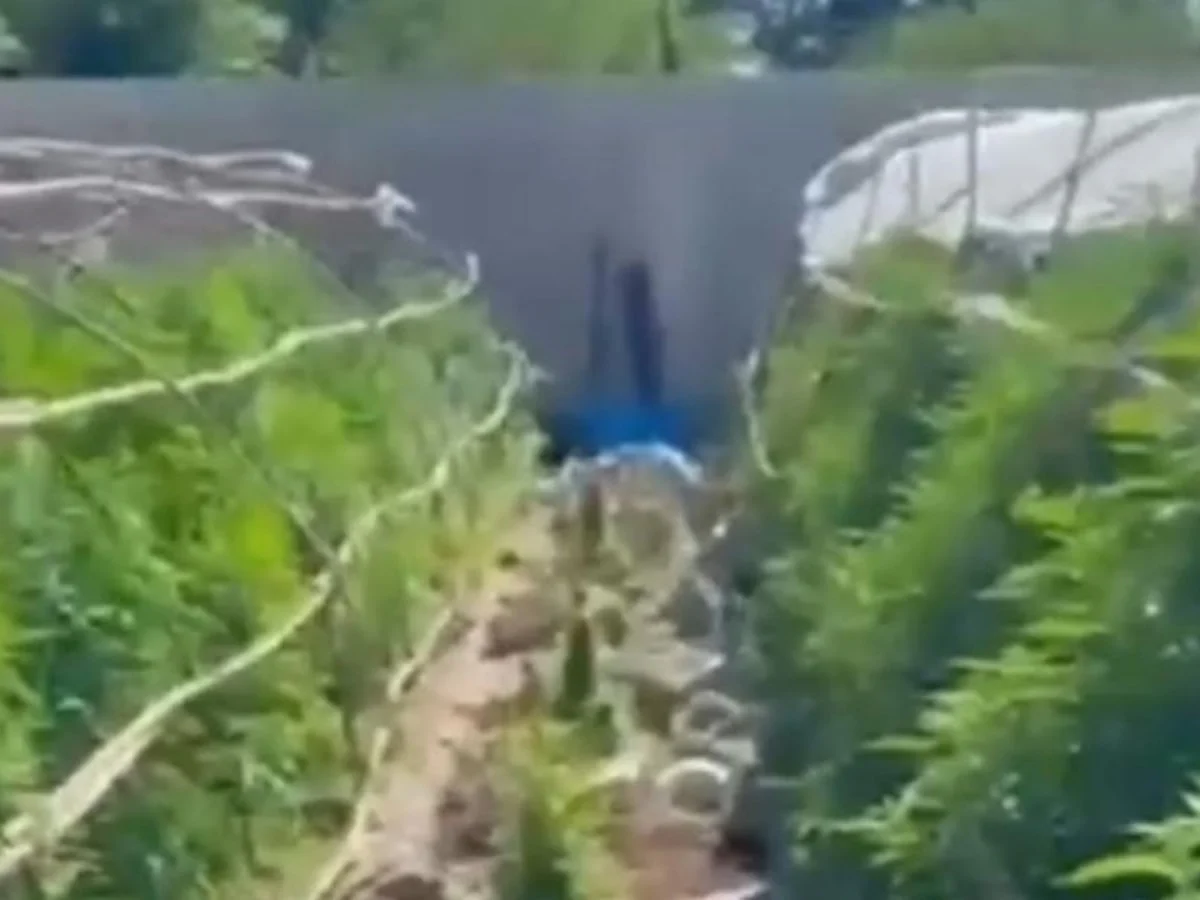 Hatay'da uyuşturucu operasyonu: 6 kişi tutuklandı