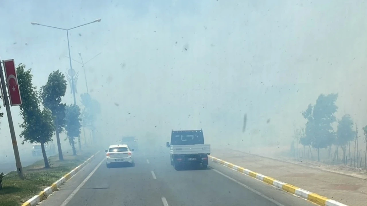 Mardin'de yangın: Yerleşim yerine sıçradı