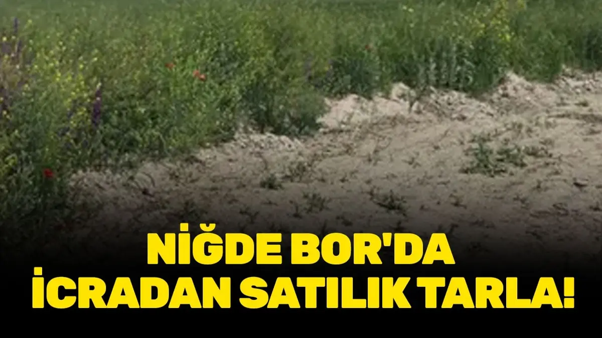 Niğde Bor'da icradan satılık tarla!