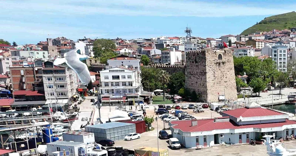 Sinop'ta trafiğe kayıtlı araç sayısı 87 bin 412 oldu: Motosiklet ilk sırada