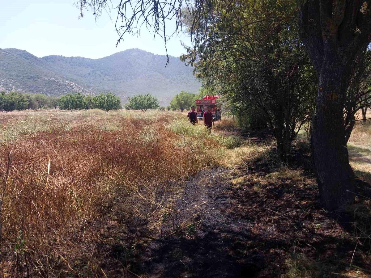 Burdur'da tarlada yangın