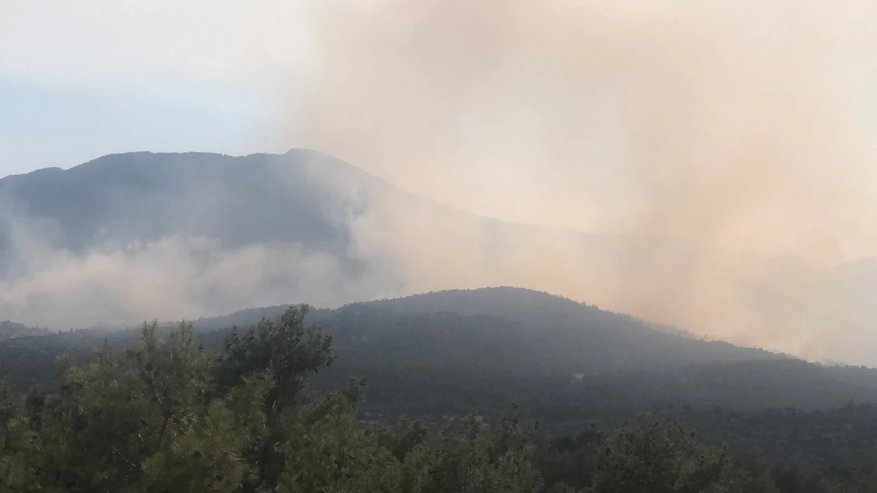 Antalya'da orman yangını