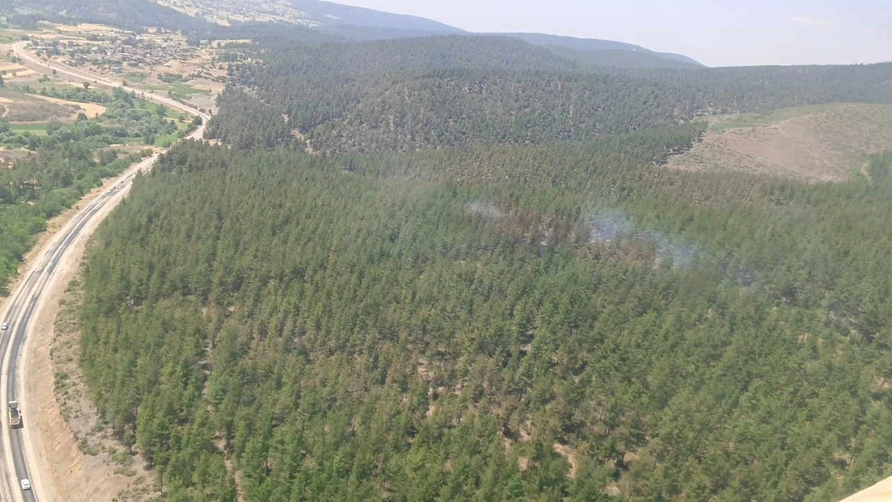 Bursa'da orman yangını!