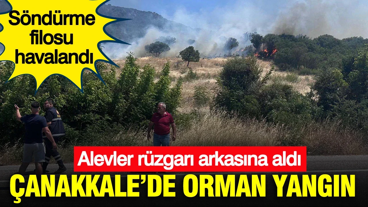 Çanakkale’de orman yangın: Alevler rüzgarı arkasına aldı