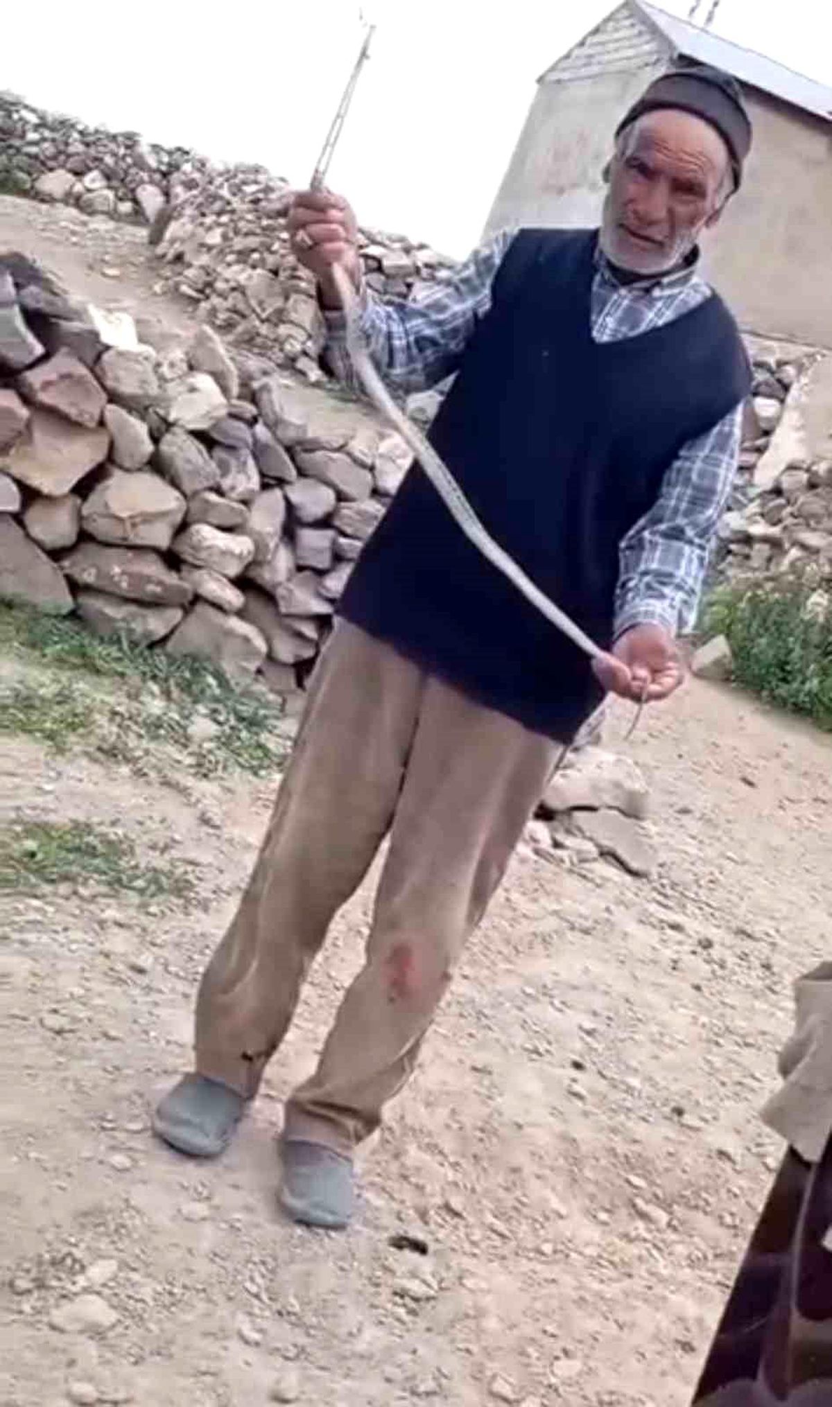 Iğdır'da eve girmeye çalışan yılanı çıplak elle yakaladı