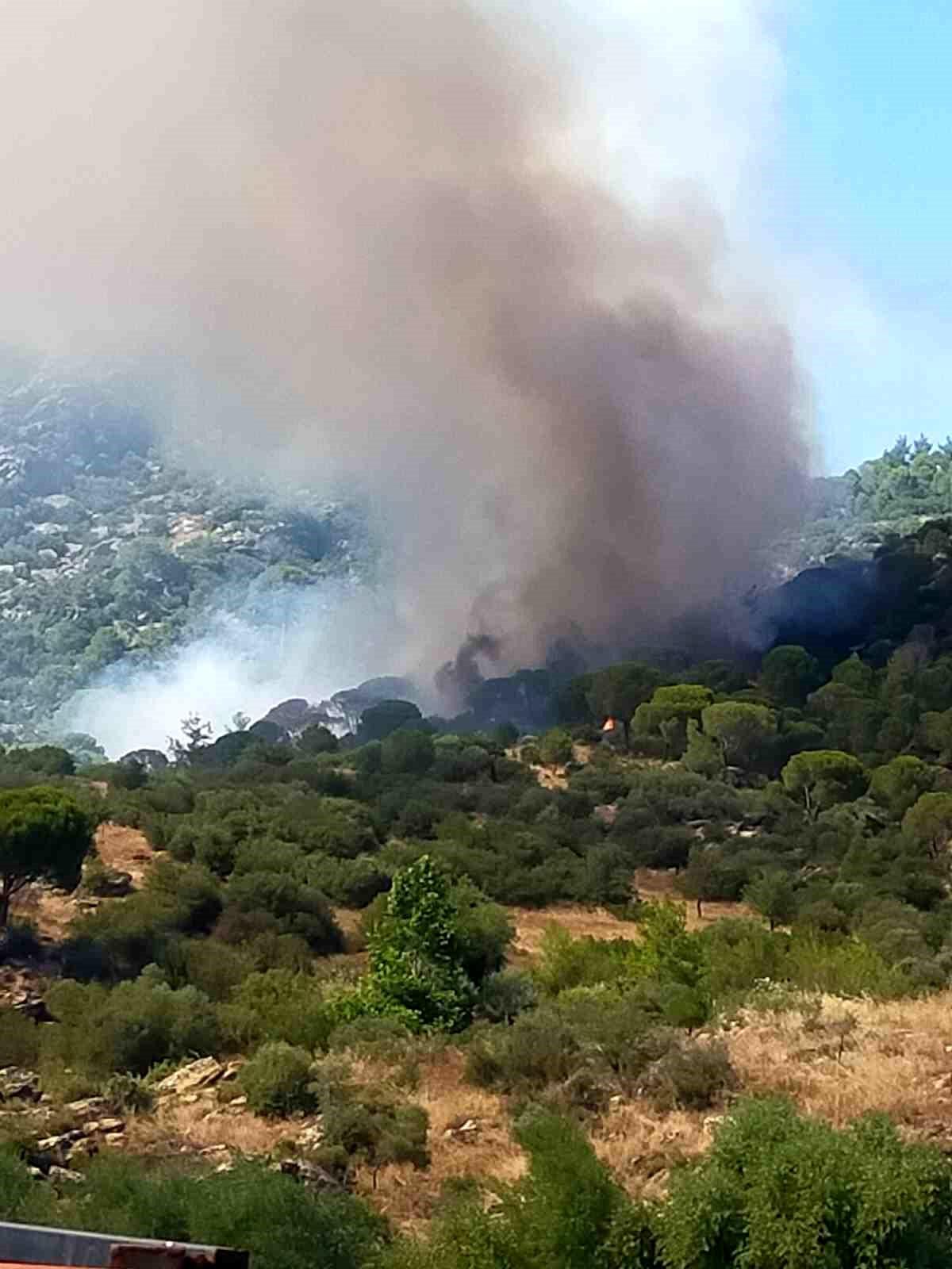 Muğla'da orman yangını
