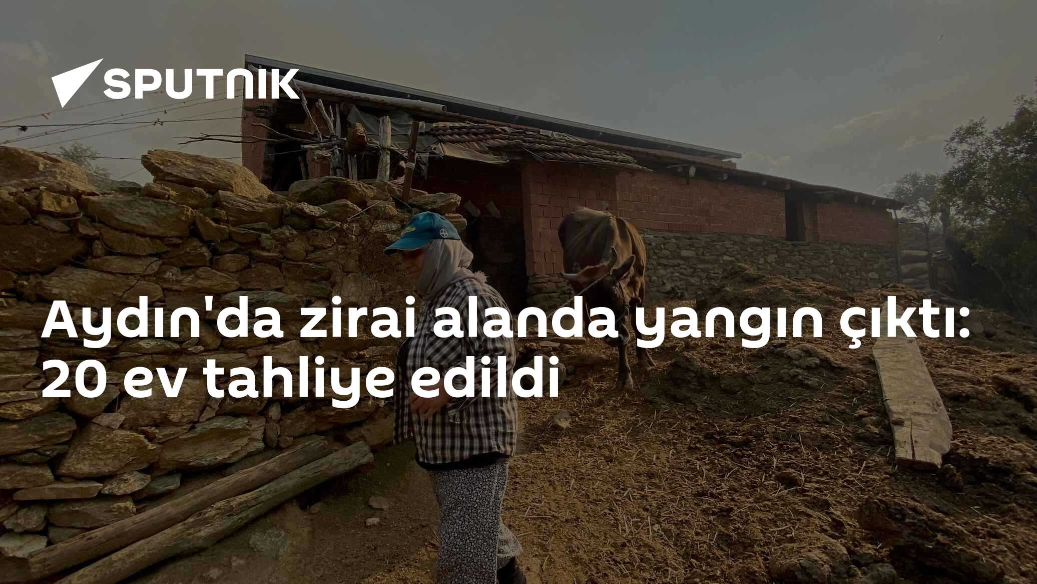 Aydın'da zirai alanda yangın çıktı: 20 ev tahliye edildi