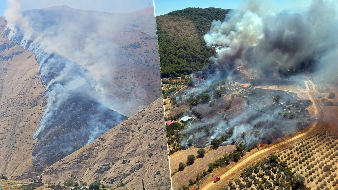 3 Koldan Orman Yangını Kabusu! Muğla, Elazığ ve Aydın’da Alevlerle Savaş
