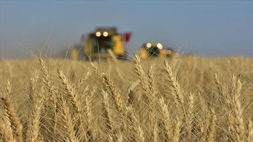 TMO bu yıl çiftçilere ürün paralarını erken ödemeyi planlıyor