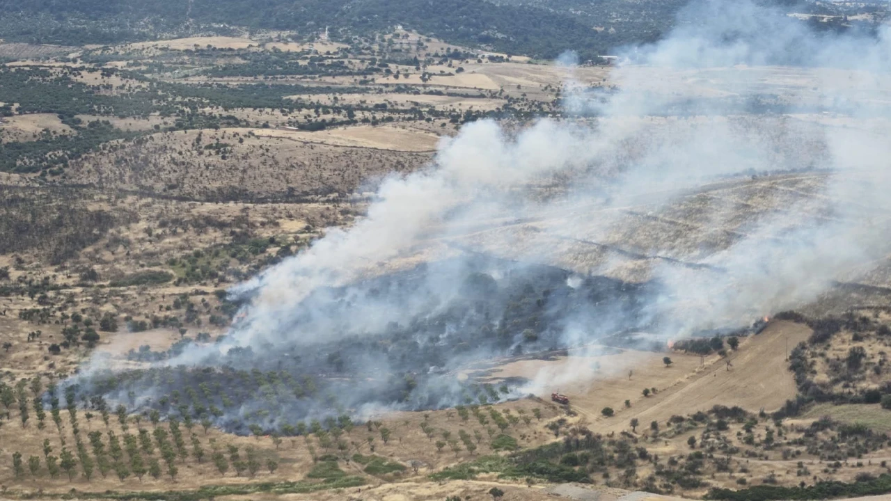 Çanakkale'de Korkutan Orman Yangını
