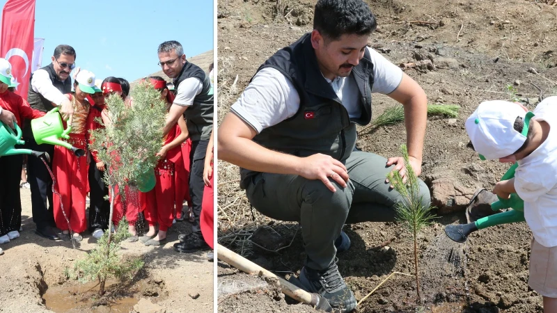 Hatay'da orman yangınında zarar gören alana bin fidan dikildi