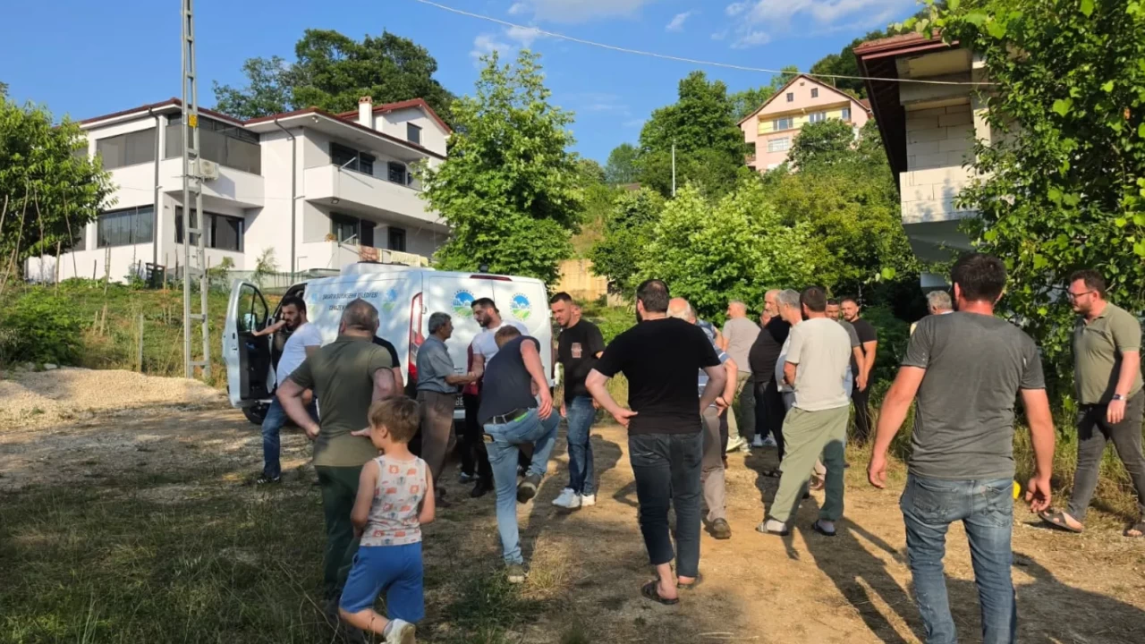Sakarya'da acı olay: Ihlamur toplarken ağaçtan düşen yaşlı adam hayatını kaybetti