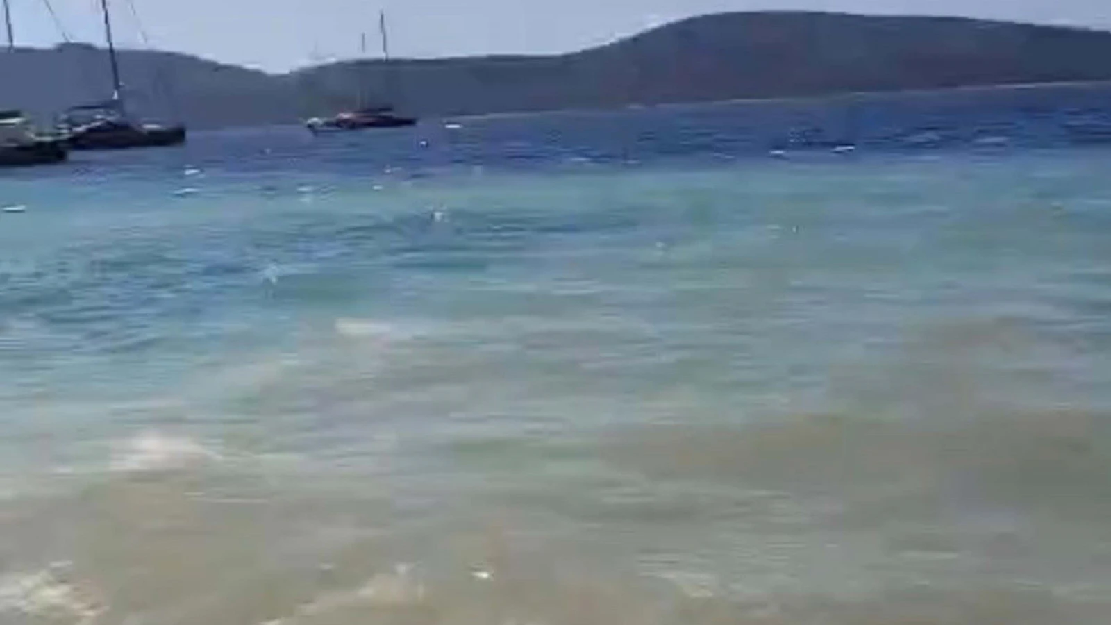 Bodrum'da deniz kirliliğine soruşturma başlatıldı