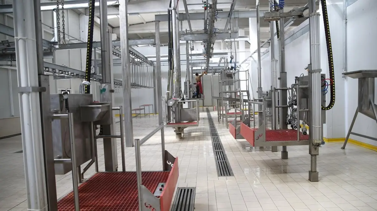 Çiftlikten sofraya takip dönemi: Kesimhanelere dijital denetim geliyor