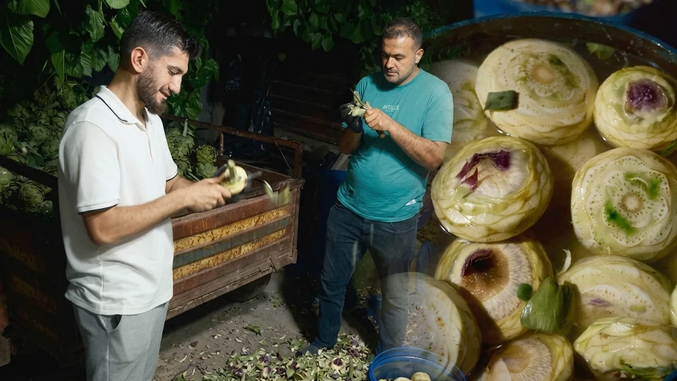 Bursa'da Enginar Hasadı Başladı: On Saniyede Bir Tane Soyup Rekor Kırıyor| BURSA YEREL HABERLERİ