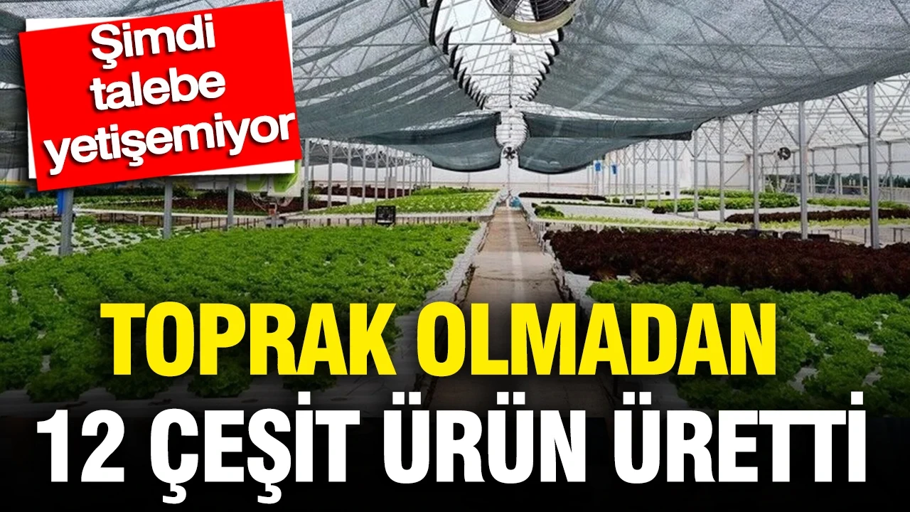 Toprak olmadan 12 çeşit ürün üretti, şimdi talebe yetişemiyor