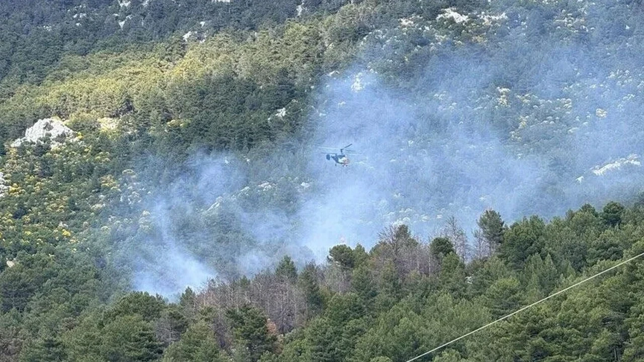 Kaş'ta orman yangını: Müdahale havadan ve karadan sürüyor
