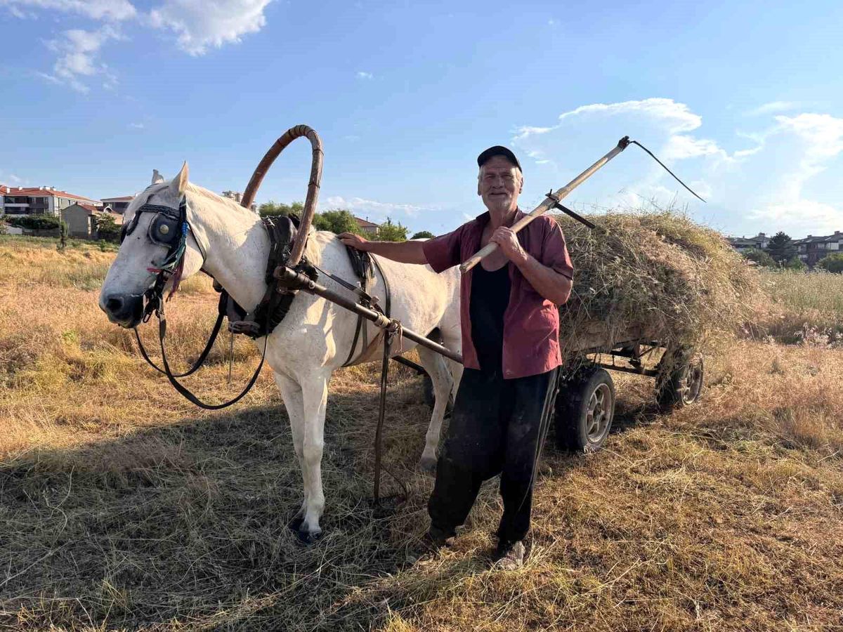 Atıyla doğaya çıkıp küçükbaş hayvanları için tırpanla ot biçiyor