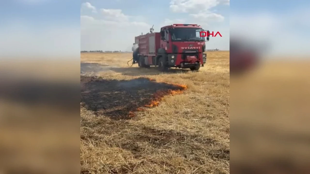 Mardin'de 8 farklı noktada anız ve bahçe yangını