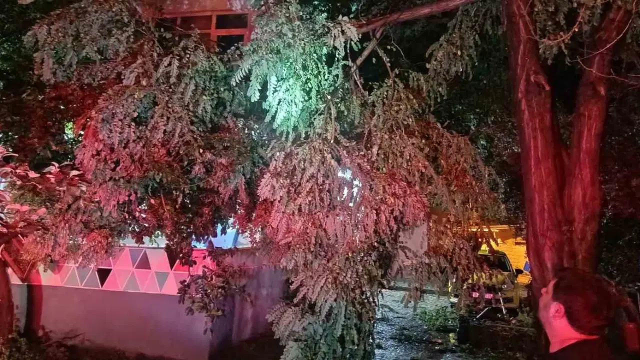 Erdek’te fırtına ve dolu yağışı: Ağaçlar devrildi, çatılar uçtu