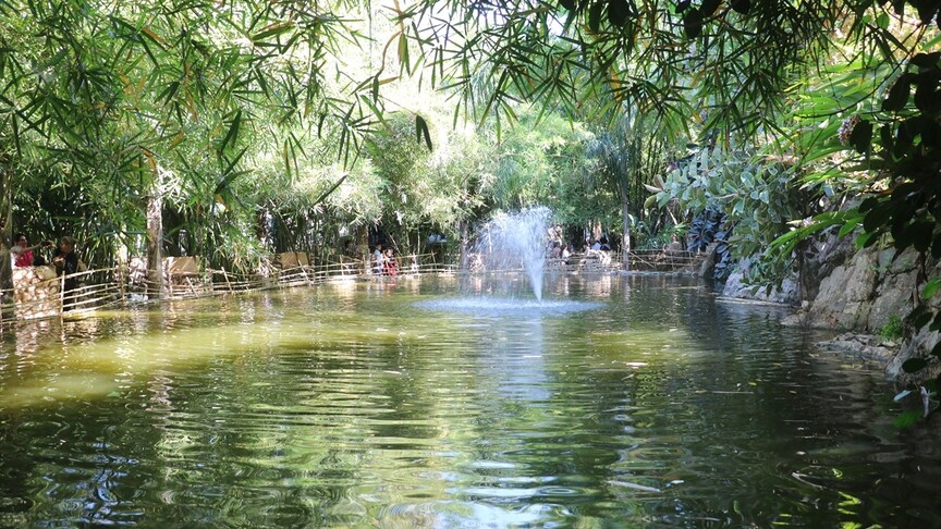 Suriye'de hobi olarak başlayan proje Tropikal Orman Parkına dönüştü