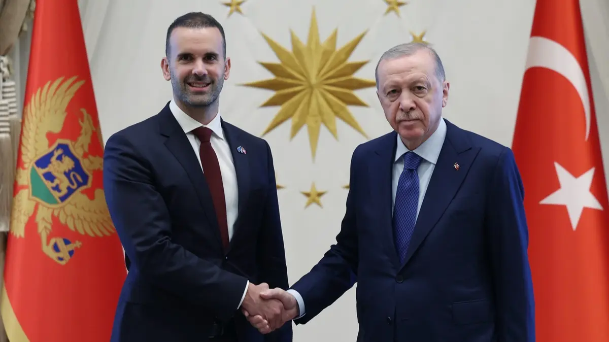 Başkan Erdoğan Karadağ Başbakanı Spajic'i kabul etti