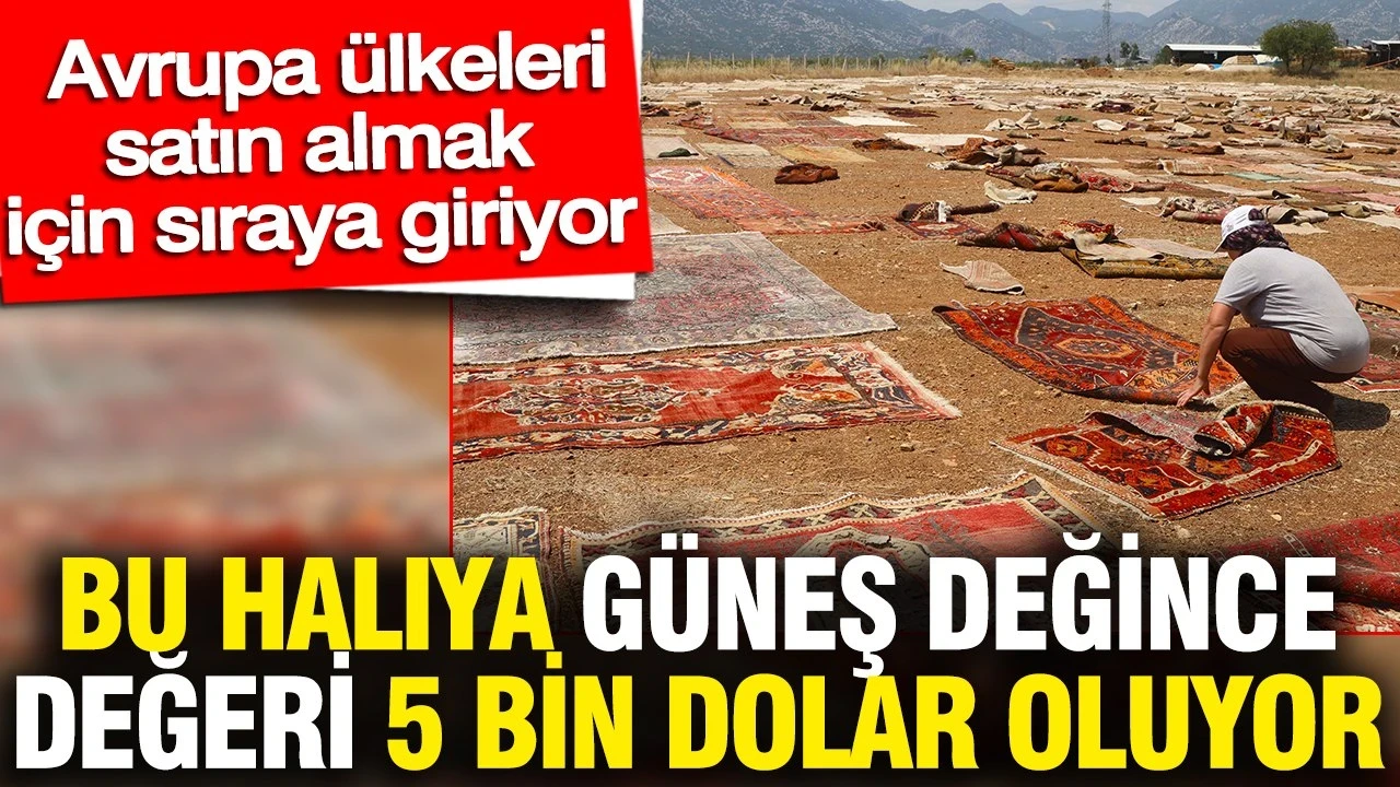 Bu halıya güneş değince değeri 5 bin dolar oluyor... Avrupa ülkeleri satın almak için sıraya giriyor