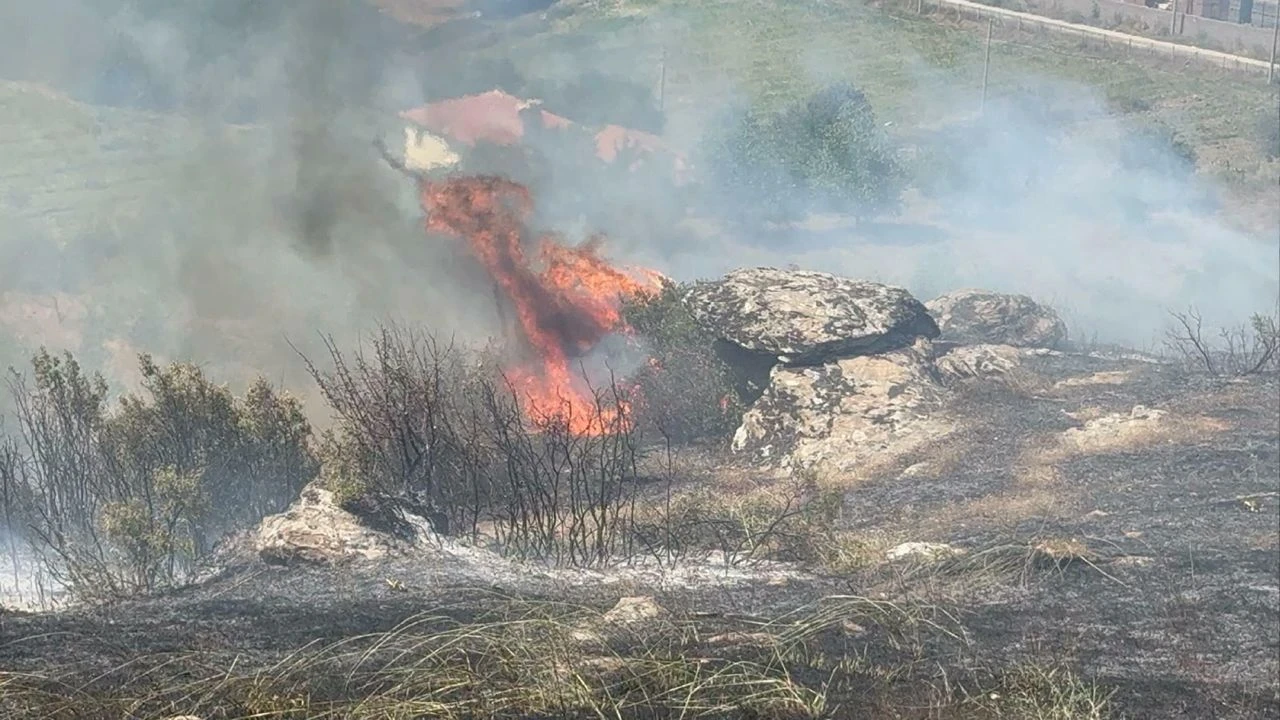 Manisa'da maki yangını: 30 dönüm alan zarar gördü