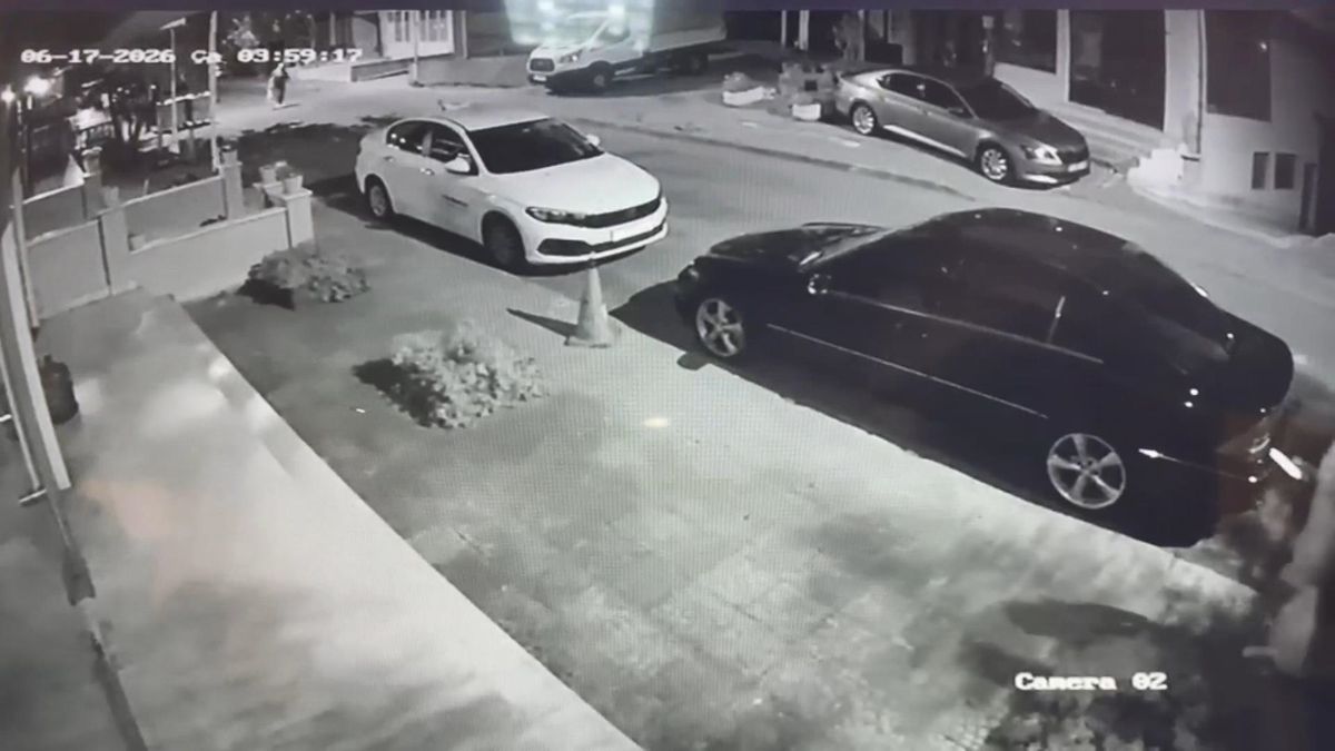 İBB Kültür A.Ş Genel Müdür Yardımcısı'nın kaçırılmasına ilişkin yeni detaylar ortaya çıktı