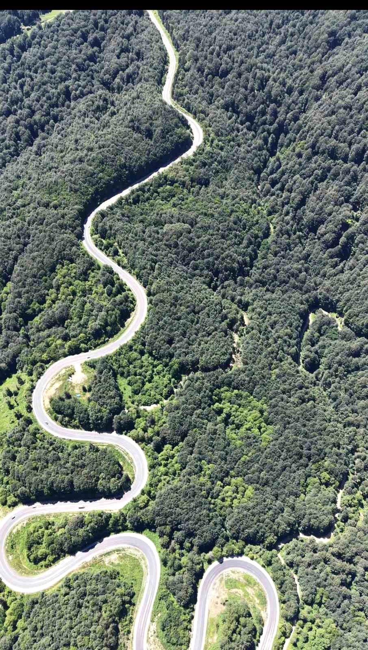Bursa ormanlarında kartpostallık görüntüler