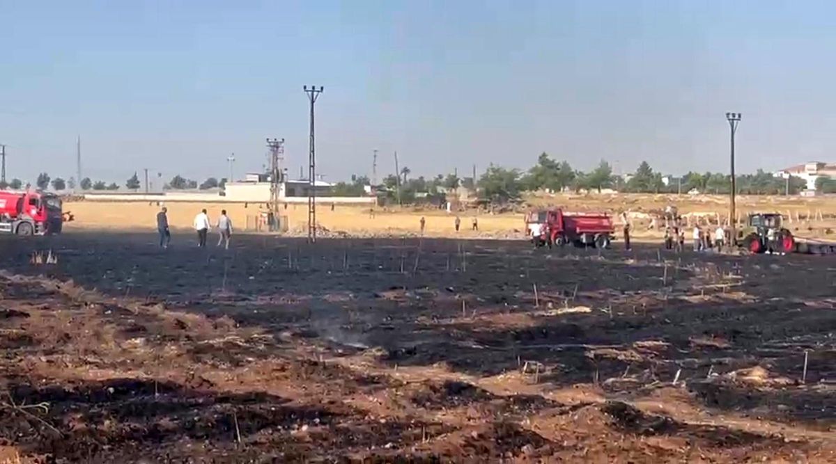 Şanlıurfa'da çıkan yangında 60 dönüm buğday ekili alan zarar gördü