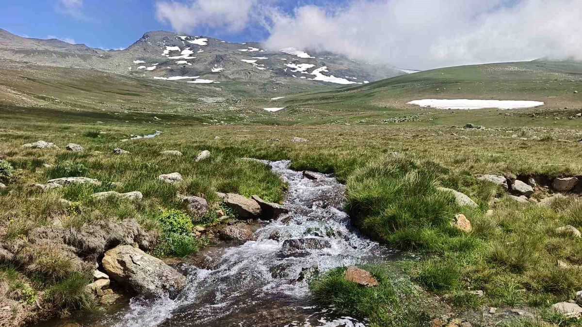 Ordu'nun yaylalarında yaz güzelliği