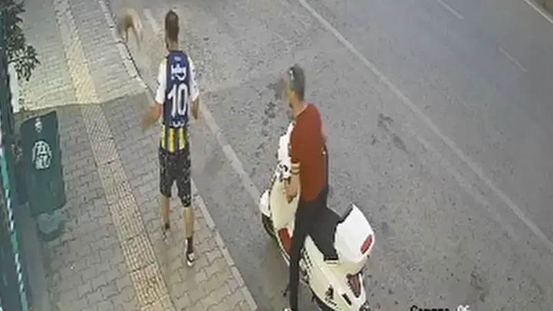 Kediye şiddet kamerada