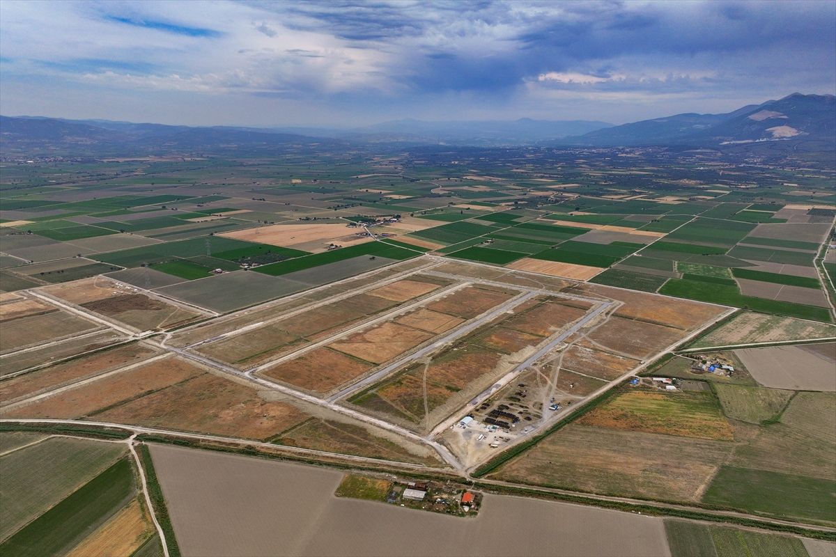 Tıbbi kenevir dört duvar arasında yüksek güvenlik altında üretilecek