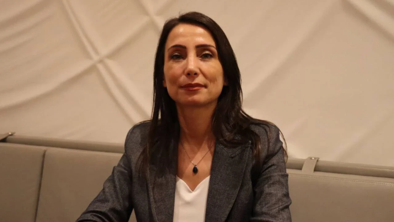 Hatimoğulları: AKP'nin bize yansıttığı bir taslak metin yok
