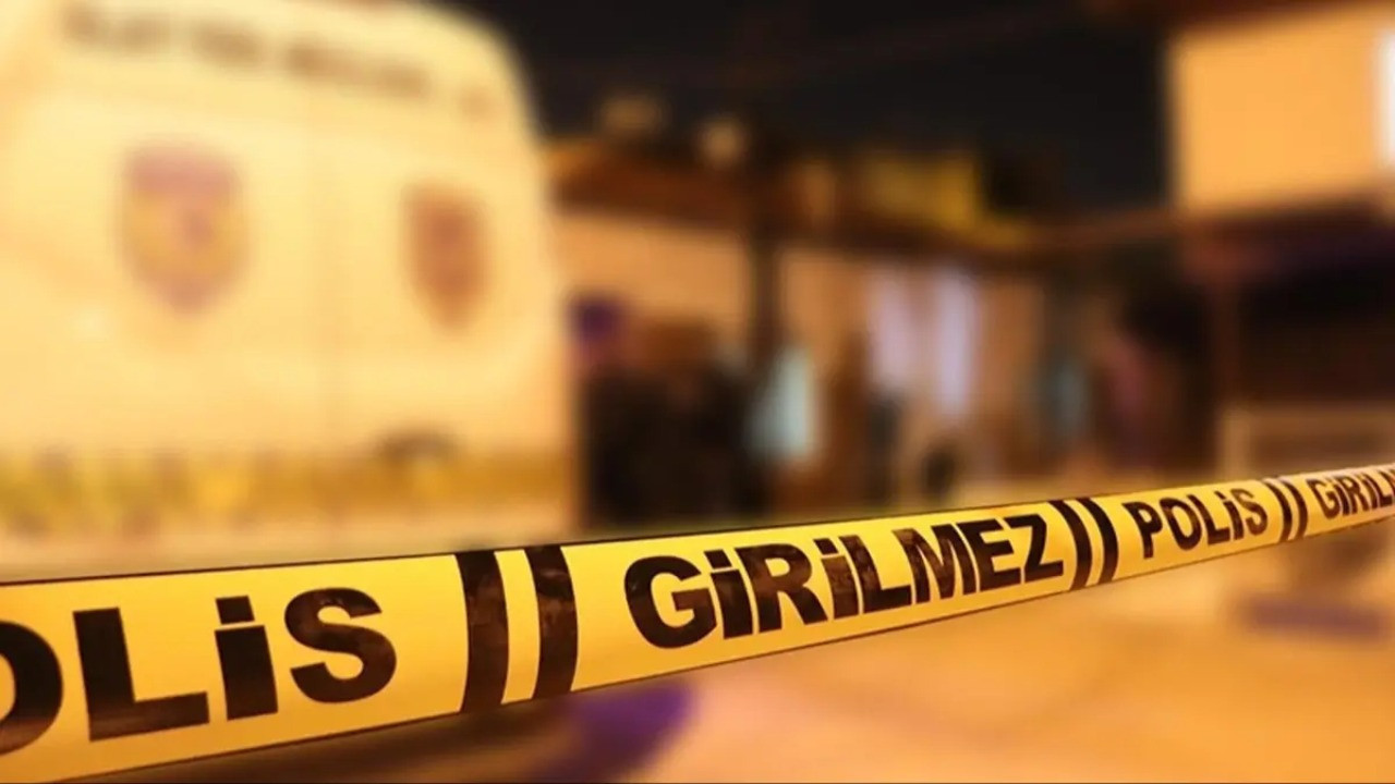 Aylardır aranıyordu: Kayıp Aysel Yıldırım'dan acı haber