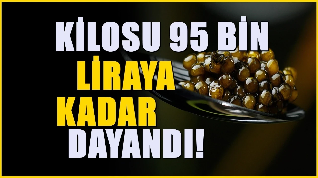 Türkiye’nin Amasya ilinde de yetişiyor! Kilosu 95 bin liradan alıcı buluyor