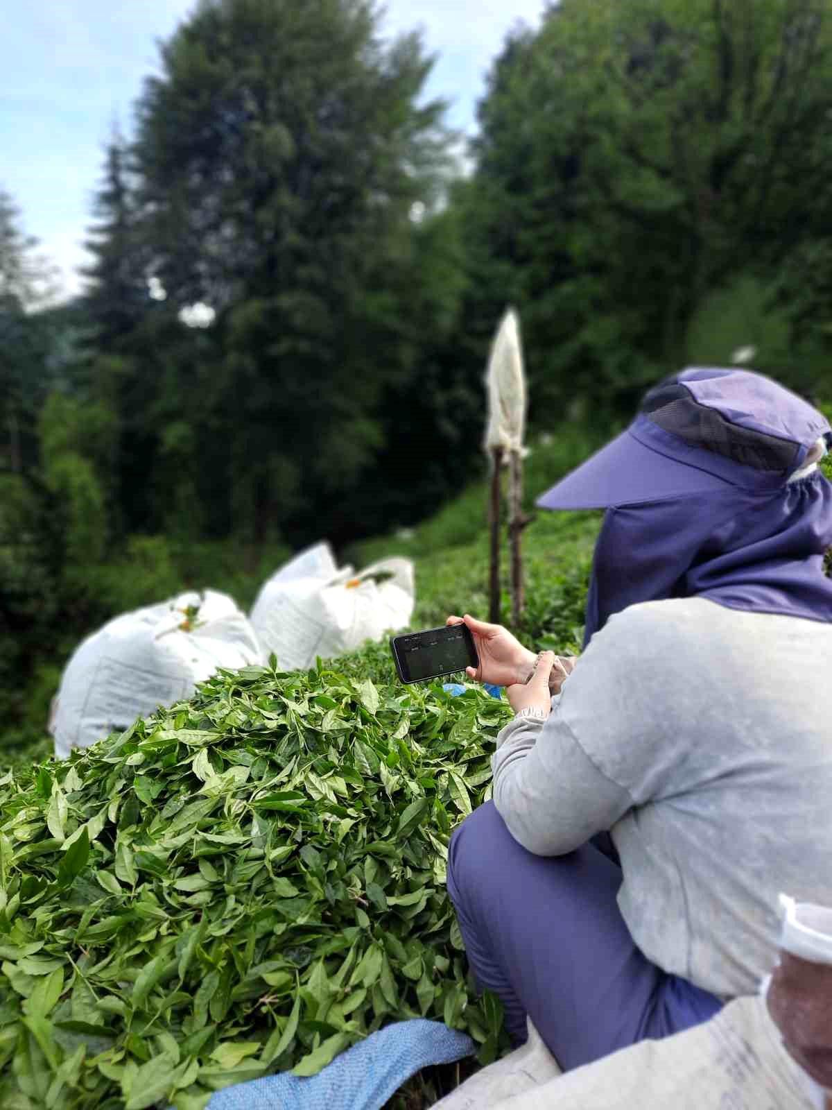 Rize'de çay bahçesinde milli maç heyecanı
