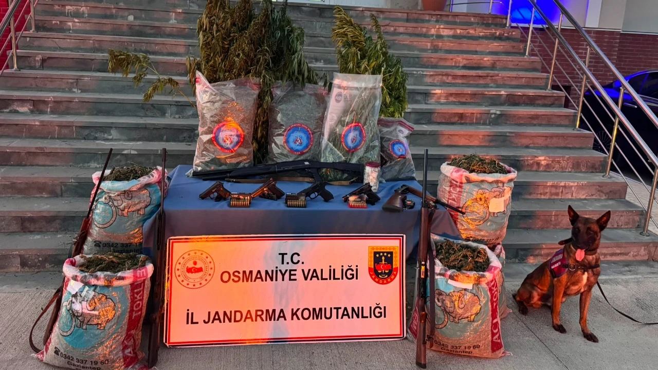 Osmaniye'de uyuşturucu operasyonu: 31 kilo esrar ve 527 kök kenevir ele geçirildi