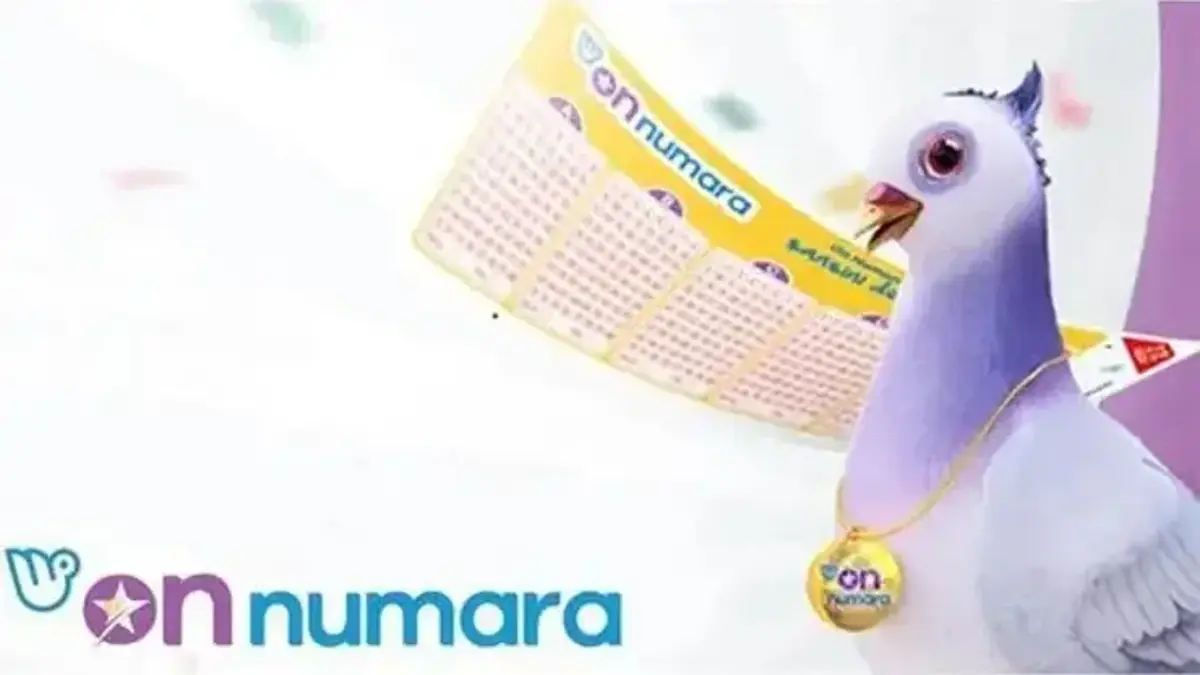 ON NUMARA SONUÇLARI 18 MAYIS: On Numara sonuçları nasıl sorgulanır?