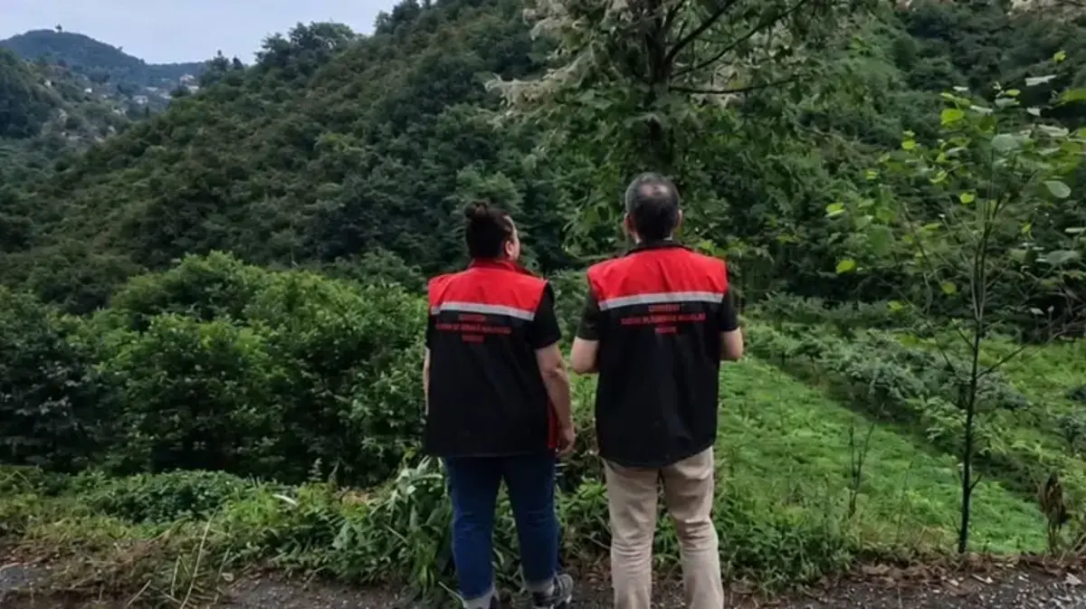 Rize'de mücadele başladı! Tarım alanlarını istila eden Amerikan Beyaz Kelebeği'ne karşı çalışma başladı